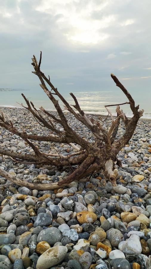 Le clapotis de l'Ô, calme, balcon sur la mer, à 2 h de Paris Ault Eksteriør bilde